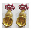 Brass angle bellow globe control industrial valve